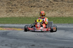 ADAC Kart Masters 2014, Ampfing, 22.06.2014